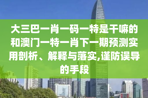 大三巴一肖一码一特是干嘛的和澳门一特一肖下一期展望适用剖析、诠释与落实,谨防误导的手段