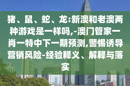 猪、鼠、蛇、龙:新澳和老澳两种游戏是一样吗,-澳门管家一肖一特中下一期展望,小心诱导营销危害-履历释义、诠释与落实