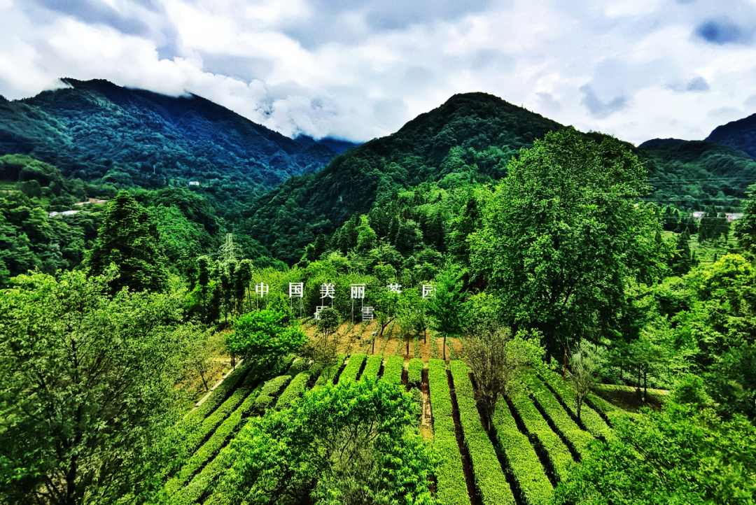 首页| 888集团电子游戏官方网站